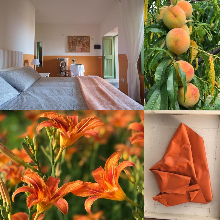 Agriturismo Il Belvedere Palazzago Екстер'єр фото